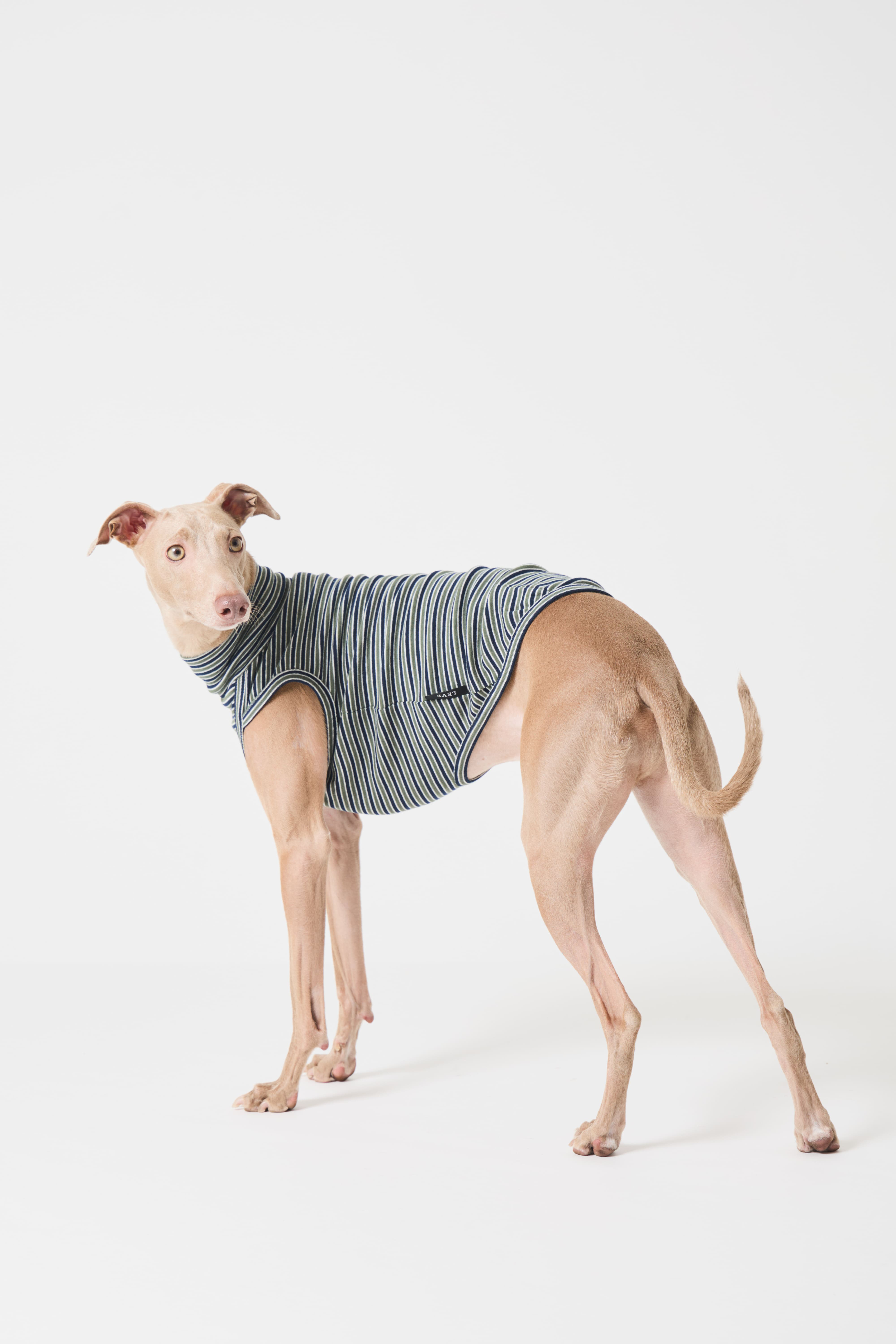 Multi Border High-neck Vest - Green