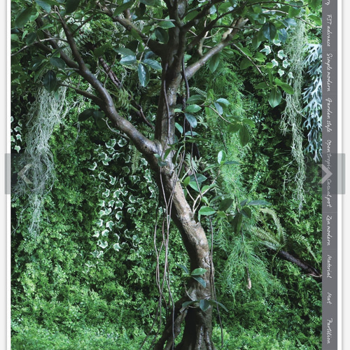 光触媒 人工観葉植物 フェイクグリーン フィカスベンジャミナコアッド