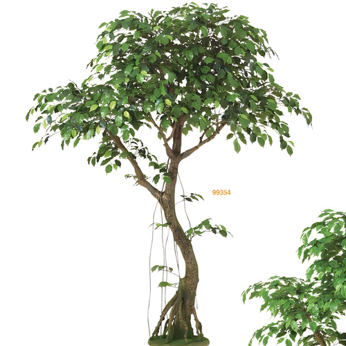 光触媒 人工観葉植物 フェイクグリーン フィカスベンジャミナコアッド