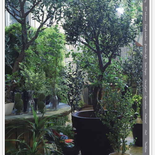 光触媒 人工観葉植物 フェイクグリーン フィカスベンジャミナコアッド