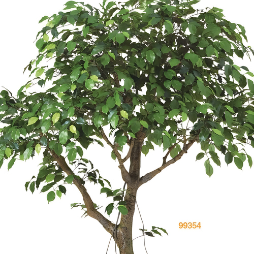 光触媒 人工観葉植物 フェイクグリーン フィカスベンジャミナコアッド