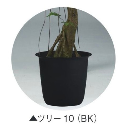 光触媒 人工観葉植物 フェイクグリーン フィカスベンジャミナコアッド