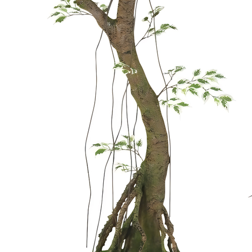 光触媒 人工観葉植物 フェイクグリーン ベンジャミナスター