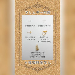 King×cat 王冠猫 ラグドール パール ピアス イヤリング 12枚目の画像