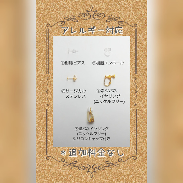 King×cat 王冠猫 ラグドール パール ピアス イヤリング 12枚目の画像