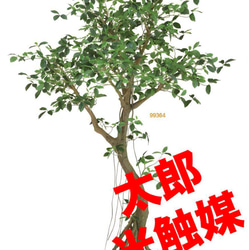 光触媒　人工観葉植物　ウォールグリーン　フェイクグリーン　ガジュマルコアッド 1枚目の画像