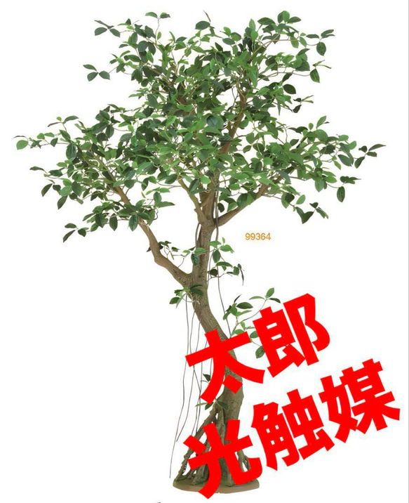 光触媒　人工観葉植物　ウォールグリーン　フェイクグリーン　ガジュマルコアッド 1枚目の画像