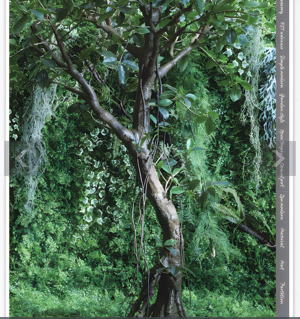 光触媒　人工観葉植物　ウォールグリーン　フェイクグリーン　ガジュマルコアッド 6枚目の画像