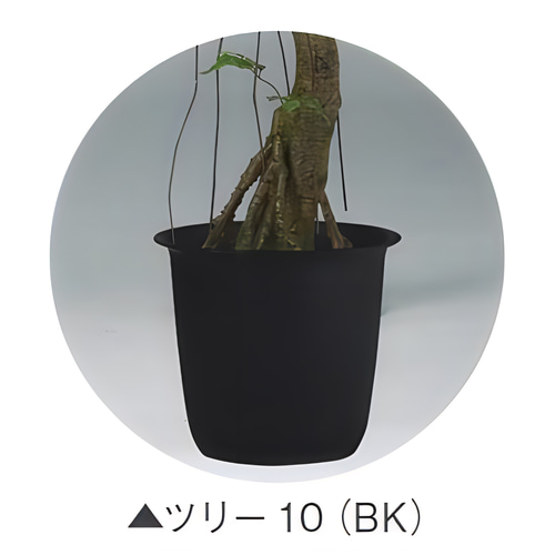 光触媒　人工観葉植物　ウォールグリーン　フェイクグリーン　ガジュマルコアッド 光触媒 人工観葉植物 ウォールグリーン フェイクグリーン