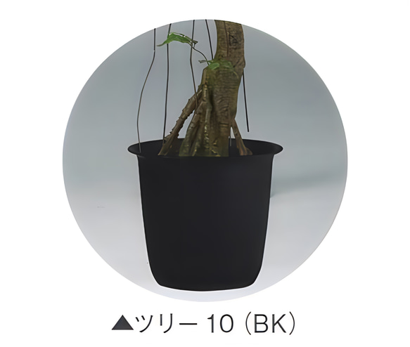 光触媒　人工観葉植物　ウォールグリーン　フェイクグリーン　ガジュマルコアッド 8枚目の画像
