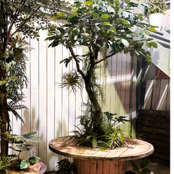 光触媒　人工観葉植物　ウォールグリーン　フェイクグリーン　ガジュマルコアッド 5枚目の画像