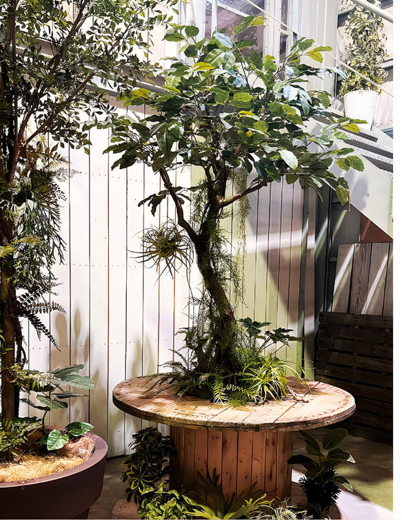 光触媒　人工観葉植物　ウォールグリーン　フェイクグリーン　ガジュマルコアッド 5枚目の画像