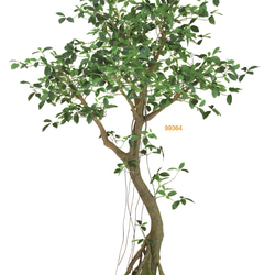 光触媒　人工観葉植物　ウォールグリーン　フェイクグリーン　ガジュマルコアッド 2枚目の画像