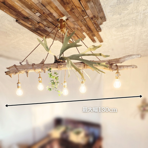 限定1台！大型流木のペンダントライト5灯 TAIGA LED電球セット ｜天井