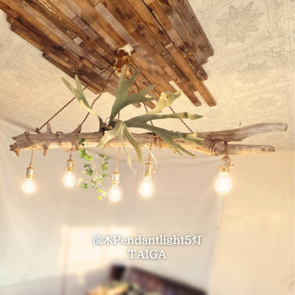 限定1台！大型流木のペンダントライト5灯 TAIGA LED電球セット ｜天井