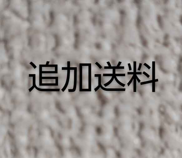 追加送料 1枚目の画像