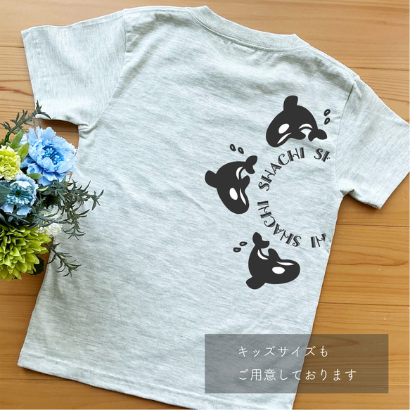 ラジアルシャチのTシャツ 11枚目の画像
