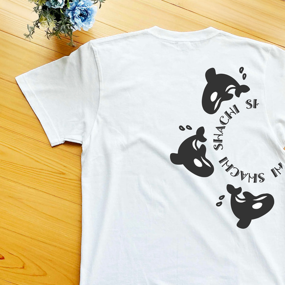 ラジアルシャチのTシャツ 1枚目の画像