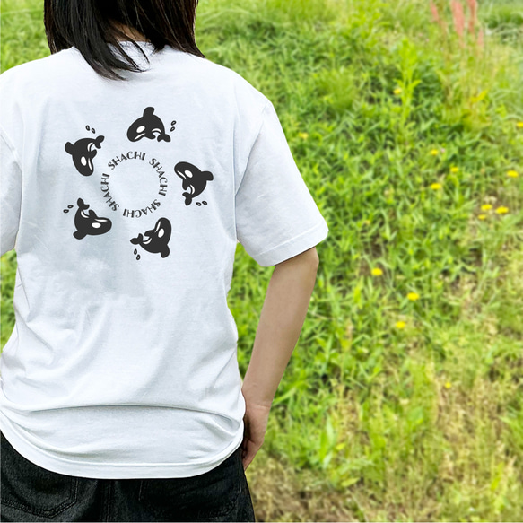 ラジアルシャチのTシャツ 7枚目の画像