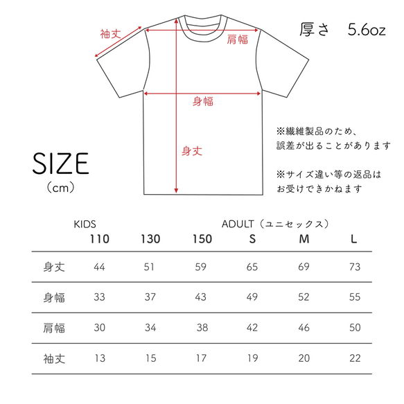 ラジアルシャチのTシャツ 2枚目の画像