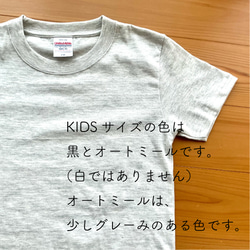 ラジアルシャチのTシャツ 12枚目の画像