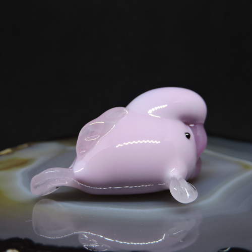 ガラスの深海生物・ちっこいおっさん魚（ニュウドウカジカ） 4匹目