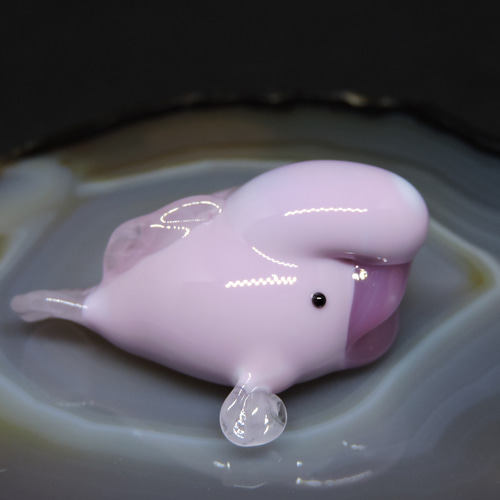 ガラスの深海生物・ちっこいおっさん魚（ニュウドウカジカ） 4匹目