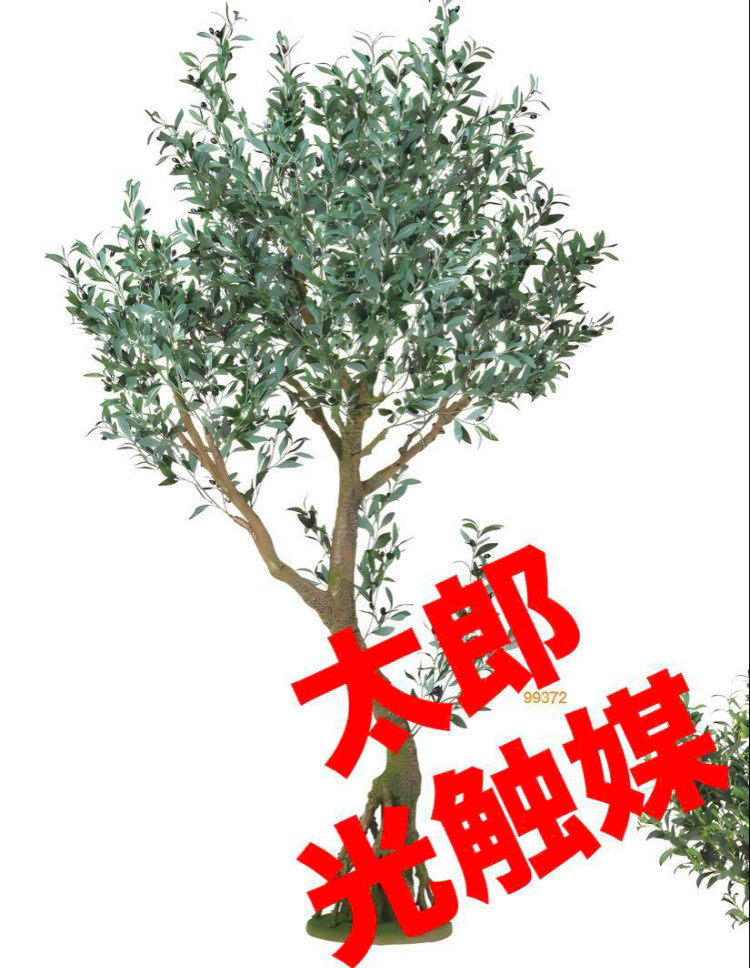 光触媒　人工観葉植物　フェイクグリーン　ブラックオリーブコアッド 108,900円