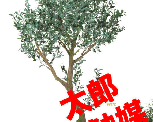 光触媒 人工観葉植物 フェイクグリーン ブラックオリーブコアッド