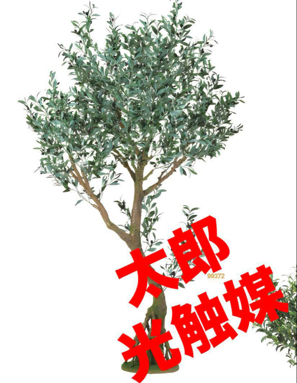 光触媒　人工観葉植物　フェイクグリーン　ブラックオリーブコアッド 光触媒 人工観葉植物 フェイクグリーン ブラックオリーブコアッド