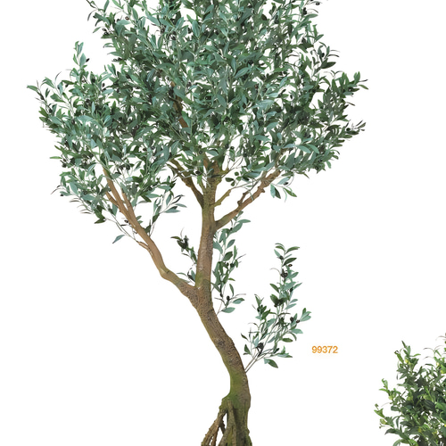 光触媒　人工観葉植物　フェイクグリーン　ブラックオリーブコアッド 光触媒 人工観葉植物 フェイクグリーン ブラックオリーブコアッド