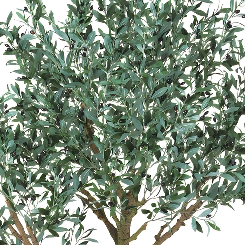 光触媒　人工観葉植物　フェイクグリーン　ブラックオリーブコアッド 光触媒 人工観葉植物 フェイクグリーン ブラックオリーブコアッド