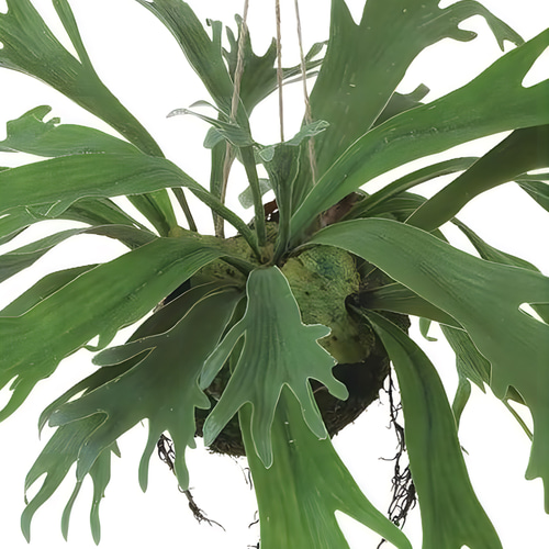 光触媒 人工観葉植物 ウォールグリーン フェイクグリーン コウモリラン