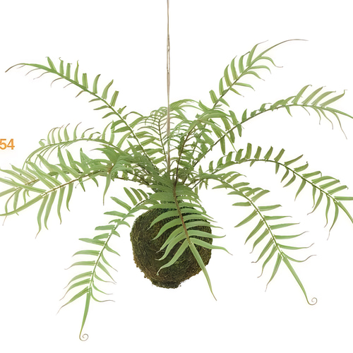 光触媒　人工観葉植物　ウォールグリーン　フェイクグリーン　ヒリュウシダモスボール 光触媒 人工観葉植物 ウォールグリーン フェイクグリーン ヒリュウシダ