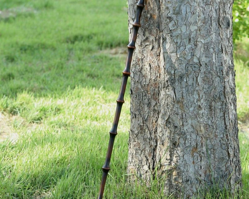 ea7f14aea52f4a3caedfe8620c6e3d