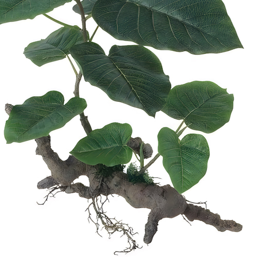 光触媒　人工観葉植物　ウォールグリーン　ウンベラータスタンプロウッド 光触媒 人工観葉植物 ウォールグリーン ウンベラータスタンプロ