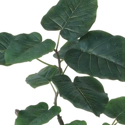 光触媒　人工観葉植物　ウォールグリーン　ウンベラータスタンプロウッド 光触媒 人工観葉植物 ウォールグリーン ウンベラータスタンプロ