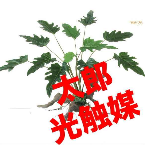 光触媒　人工観葉植物　フェイクグリーン　クッカバラスタンプウッド 光触媒 人工観葉植物 フェイクグリーン クッカバラスタンプ