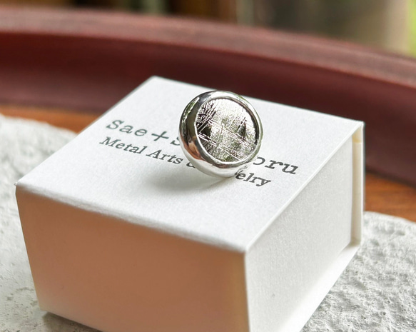 ムオニオナルスタ隕石（メテオライト）シルバータイタック・ピンズ◇Silver Tie Tac 12枚目の画像
