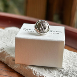 ムオニオナルスタ隕石（メテオライト）シルバータイタック・ピンズ◇Silver Tie Tac 16枚目の画像