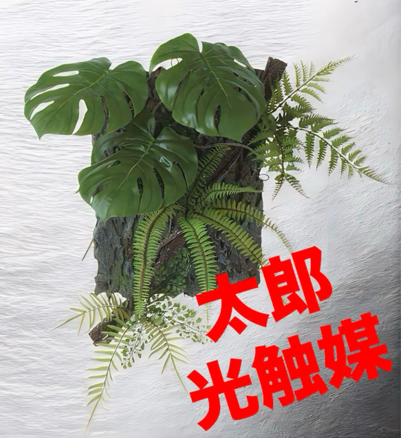 光触媒　人工観葉植物　ウォールグリーン　フェイクグリーン　モンステラデコ 光触媒 人工観葉植物 ウォールグリーン フェイクグリーン モンステラ
