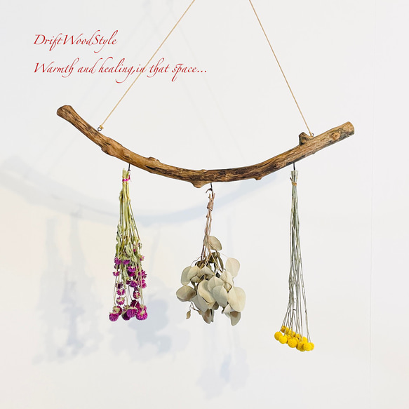 流木インテリア 無骨で古木風な天然流木のハンガーフック 流木ハンガー ハンギング ウォールデコ 北欧 N23 1枚目の画像