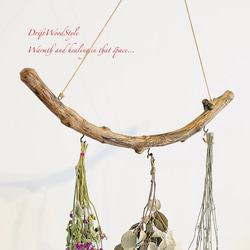 流木インテリア 無骨で古木風な天然流木のハンガーフック 流木ハンガー ハンギング ウォールデコ 北欧 N23 4枚目の画像