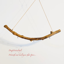 流木インテリア 無骨で古木風な天然流木のハンガーフック 流木ハンガー ハンギング ウォールデコ 北欧 N23 5枚目の画像