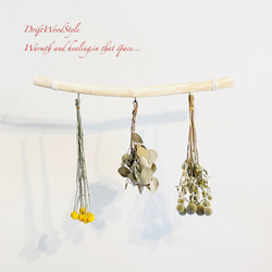 流木インテリア 無骨で古木風な天然流木のハンガーフック 流木ハンガー ハンギング ウォールデコ 北欧 N24 1枚目の画像