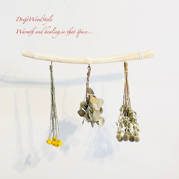 流木インテリア 無骨で古木風な天然流木のハンガーフック 流木ハンガー ハンギング ウォールデコ 北欧 N24 1枚目の画像