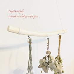 流木インテリア 無骨で古木風な天然流木のハンガーフック 流木ハンガー ハンギング ウォールデコ 北欧 N24 4枚目の画像