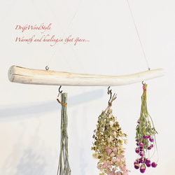 流木インテリア 無骨で古木風な天然流木のハンガーフック 流木ハンガー ハンギング ウォールデコ 北欧 N25 4枚目の画像