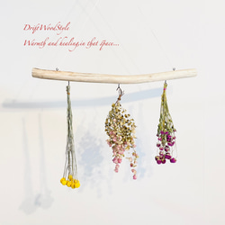 流木インテリア 無骨で古木風な天然流木のハンガーフック 流木ハンガー ハンギング ウォールデコ 北欧 N25 1枚目の画像