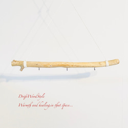 流木インテリア 無骨で古木風な天然流木のハンガーフック 流木ハンガー ハンギング ウォールデコ 北欧 N26 5枚目の画像